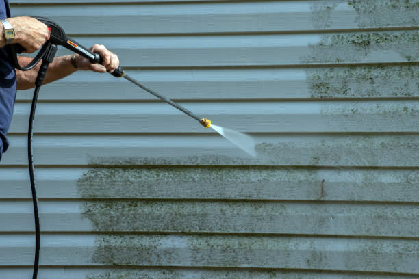 Best Local Pressure Washing Services  in Eming Island, FL