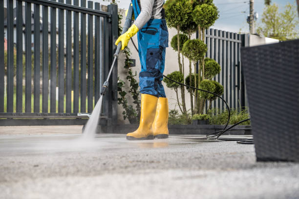 Best Pressure Washing Company Near Me  in Eming Island, FL