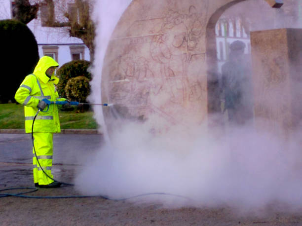 Best Roof Pressure Washing  in Eming Island, FL